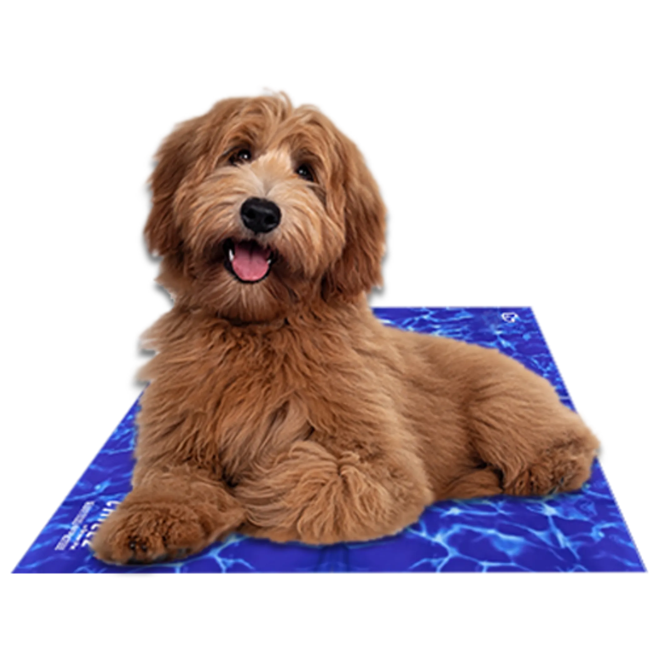 Chillz Cooling Gel Mat for Dogs