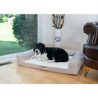Bolstered Orthopedic Dog Bed - with dog