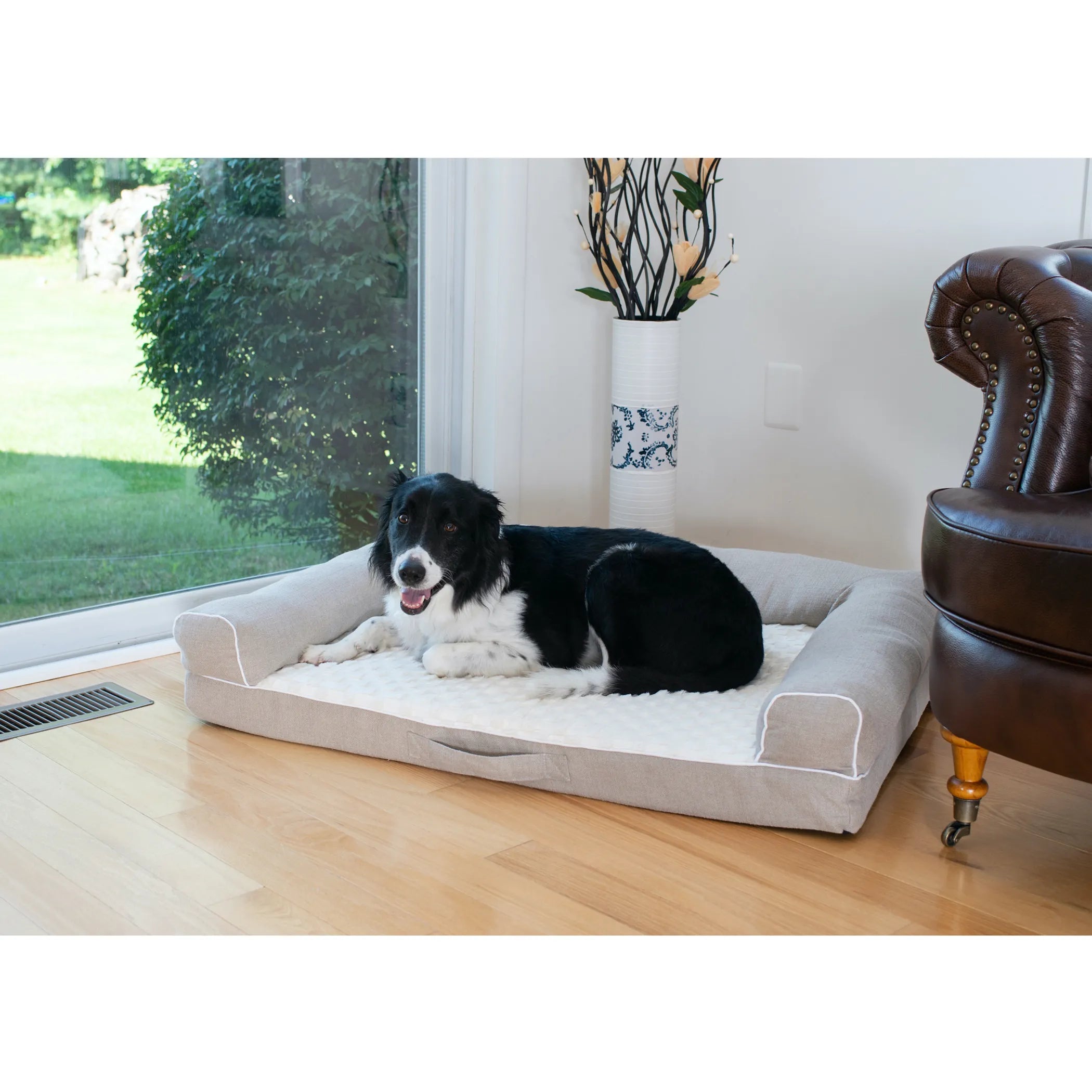 Bolstered Orthopedic Dog Bed - with dog