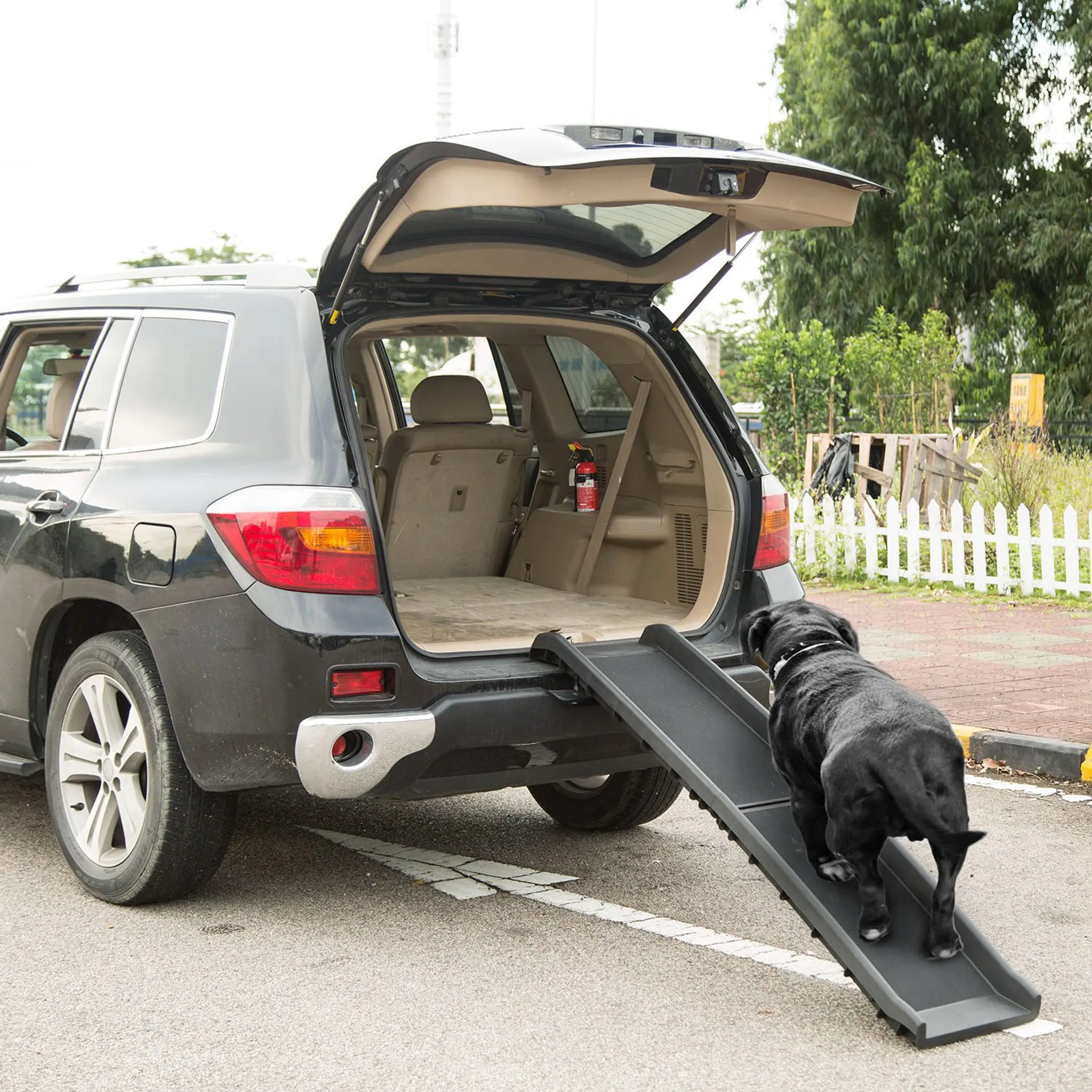 Foldable Pet Car Ramp for aging and mobility-limited dogs - main